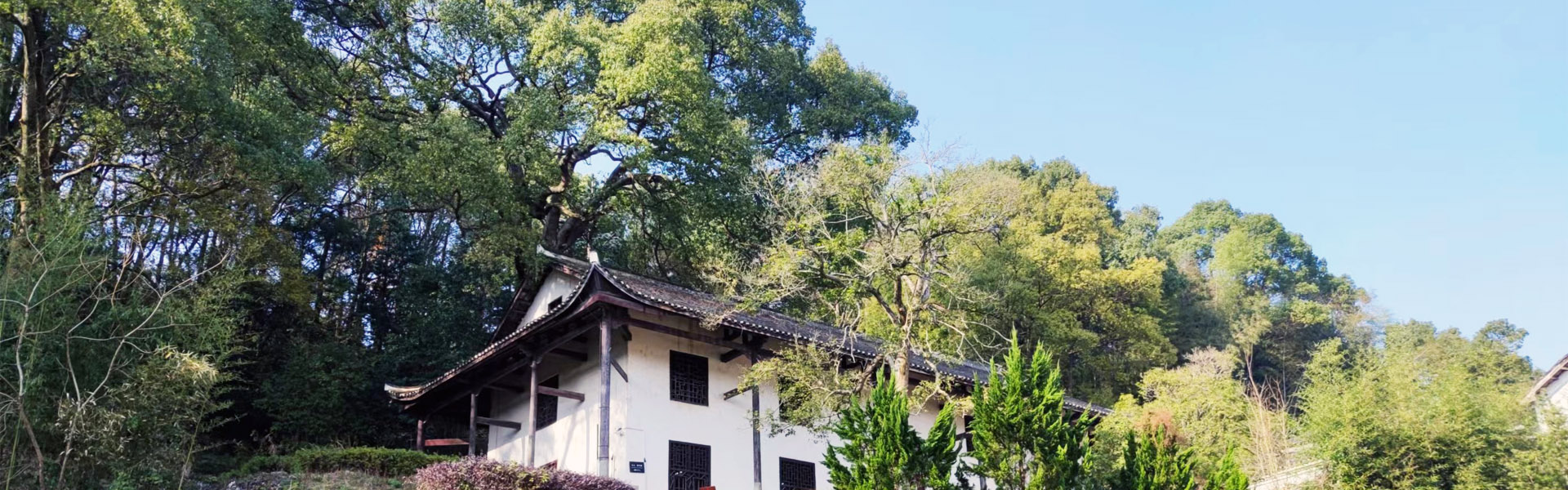 品牌推廣.jpg